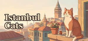 Istanbul Cats banner