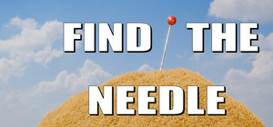 Find The Needle banner
