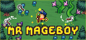 MR MAGEBOY banner