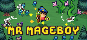 MR MAGEBOY banner