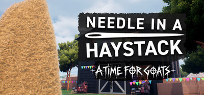 Needle In A Haystack