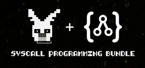 SYSCALL Programming banner