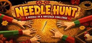 CO-OP Needle Hunt: A Needle in a Haystack Challenge banner