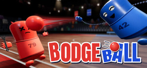 BodgeBall banner