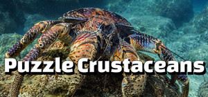 Puzzle Crustaceans banner