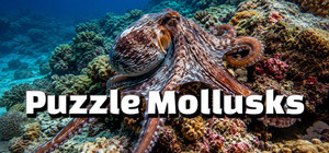 Puzzle Mollusks banner