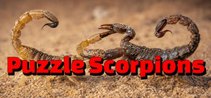 Puzzle Scorpions banner