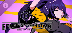 Idol of the town banner