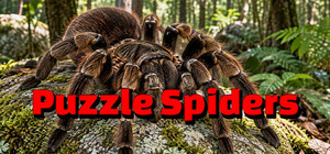 Puzzle Spiders banner