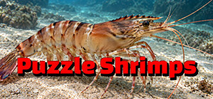 Puzzle Shrimps banner