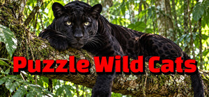 Puzzle Wild Cats banner