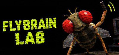 FLYBRAIN LAB