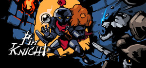 Pin Knight banner