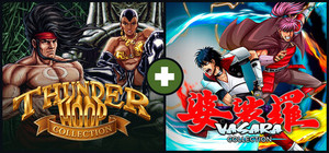 Arcade Bullet Fury: Thunder Hoop & VASARA 4-in-1 Pack banner